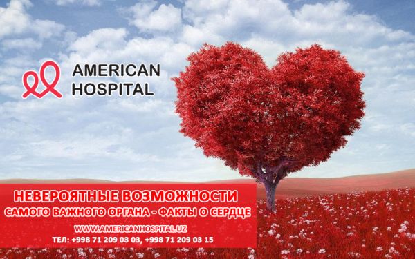 Невероятные возможности самого важного органа - факты о сердце