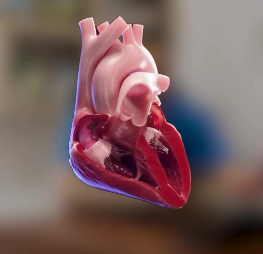 Vazn og‘irligi — bu shunchaki sonlar emas. Bu yurakka tushadigan real yuk